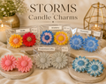 Hand poured, beautiful Candle Charms.